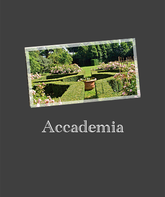 Logo Accademia